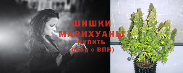 PSILOCYBIN Фурманов