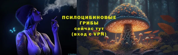 PSILOCYBIN Фурманов
