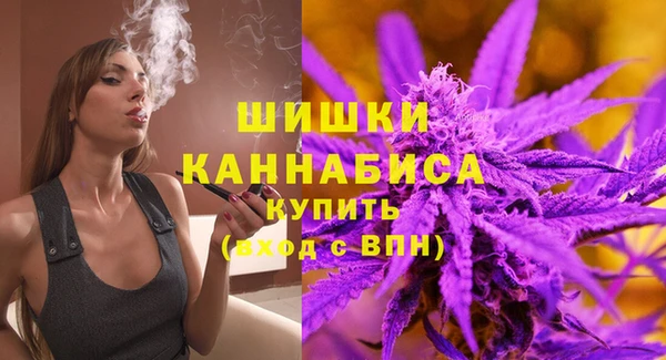 шишки Ханты-Мансийск