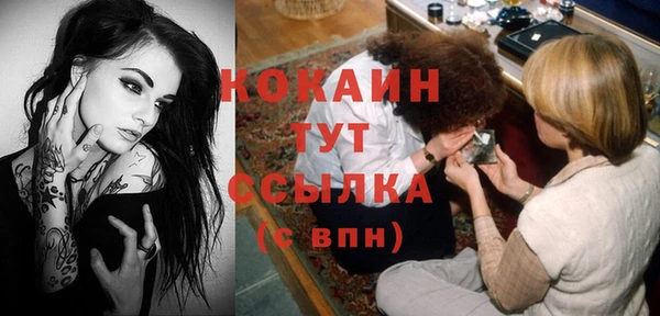 PSILOCYBIN Фурманов