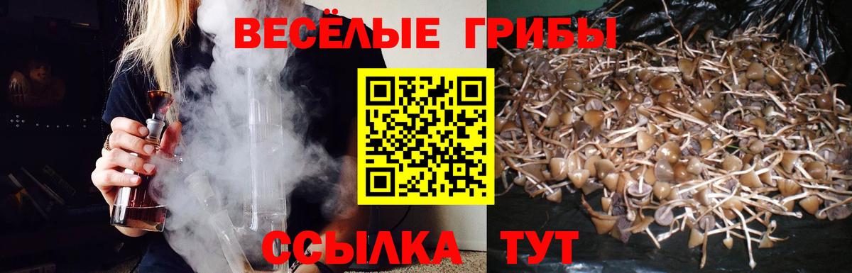Псилоцибиновые грибы мицелий  Вход с VPN  Пермь 